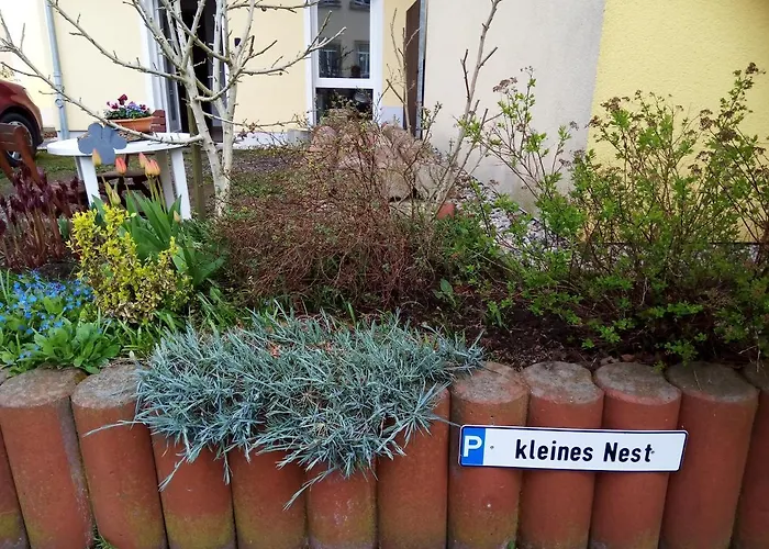 Kleines Nest