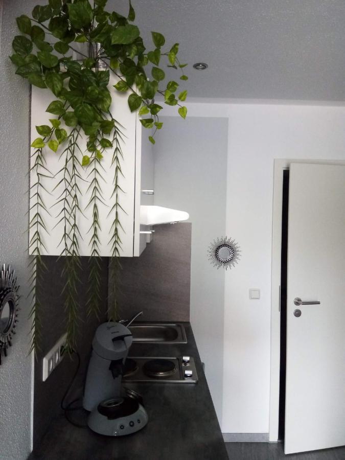Kleines Nest Séjour chez l'habitant Radebeul